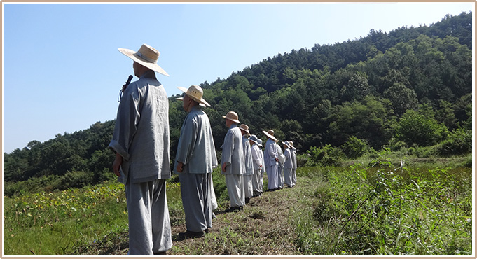 걷기선명상-경선(鏡禪) 지도자 과정이미지